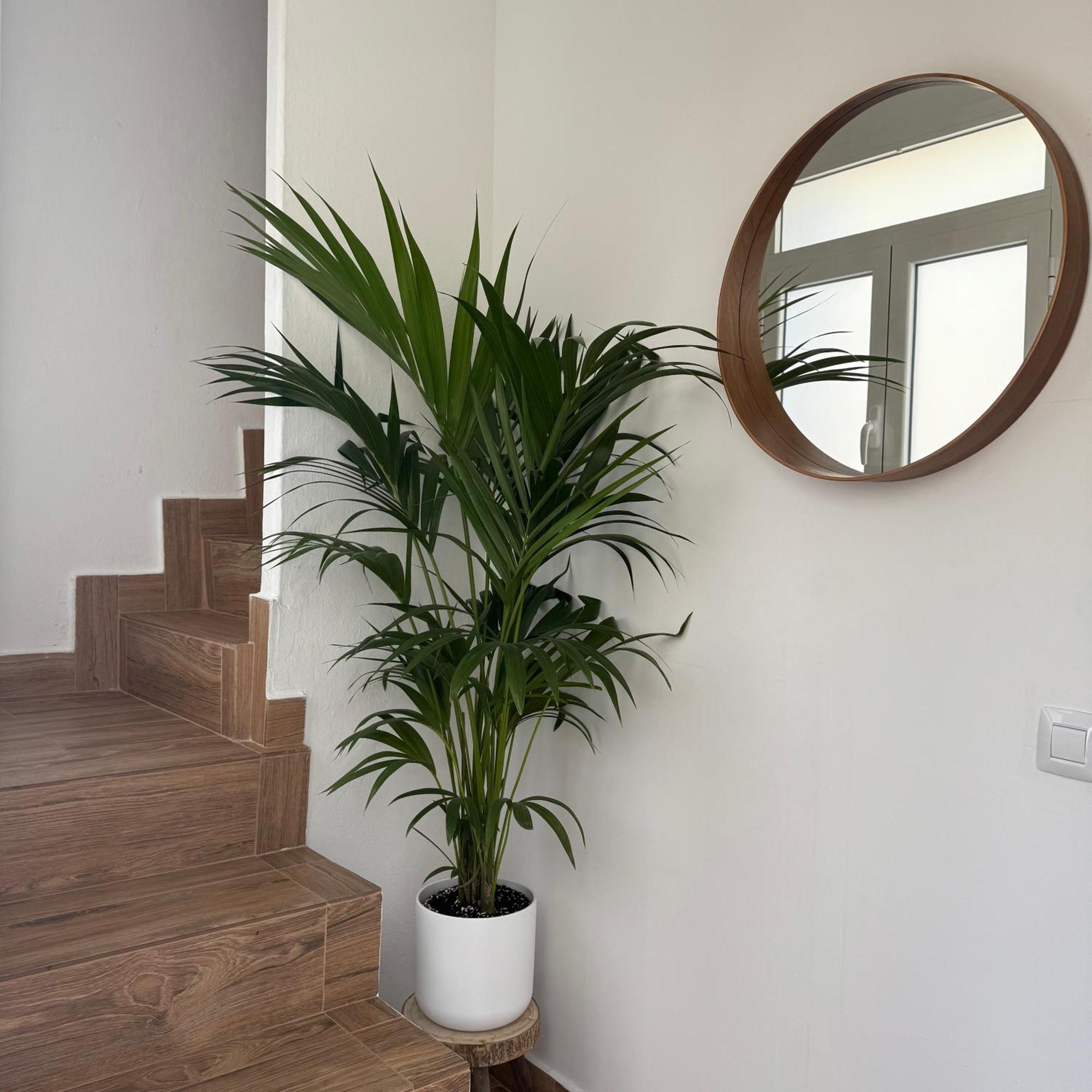 Apartament Casa Yeye Loft *